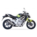 Vorschaubild IXIL Hexoval Evolution Edelstahl gebuerstet Suzuki Gladius 650