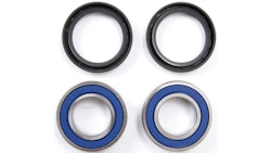 All Balls Racing Radlagersatz