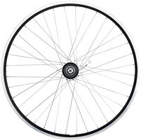 CONTEC Hinterrad Classic Z19 + Shimano SG-C30017CAR 28 Zoll