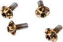 Vorschaubild Silca Schraube M5 x 12 mm gold