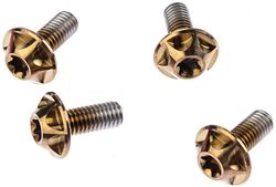 Silca Schraube M5 x 12 mm gold