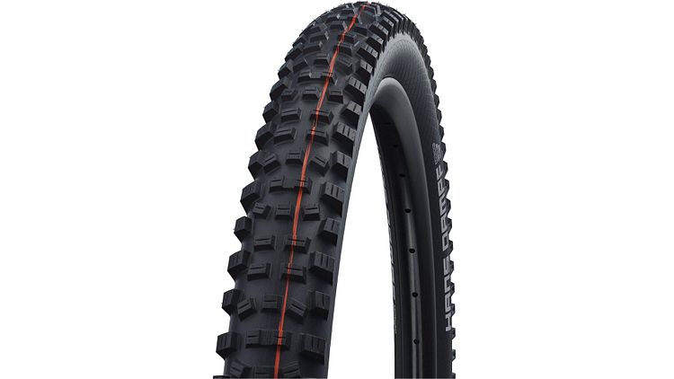 Schwalbe Hans Dampf Evolution Line 29 Zoll schwarz 2,35" Super Gravity Addix Soft