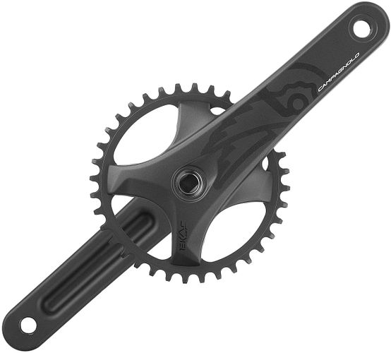 Campagnolo Kettenradgarnitur Ekar GT 13s 40 Zähne 170 mm schwarz