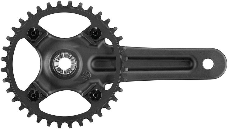 Campagnolo Kettenradgarnitur Ekar GT 13s 40 Zähne 170 mm schwarz