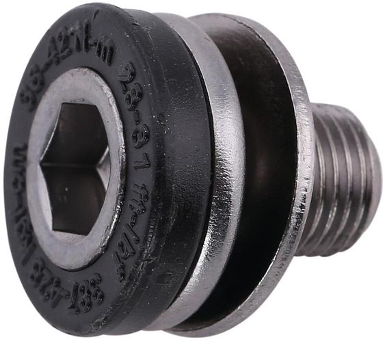 Stronglight Kurbelschraube M10x100 Bosch Gen.3 schwarz, grau, grau