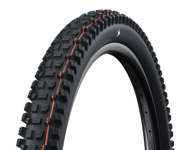 Schwalbe Albert Pro Evolution Line 29 Zoll schwarz