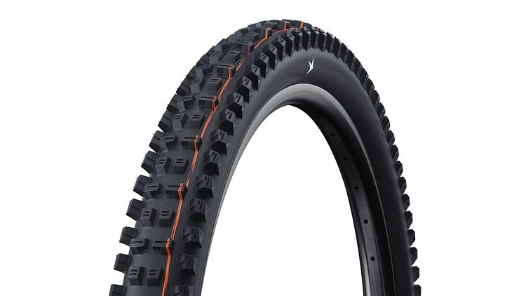 Schwalbe Tacky Chan Reifen 29 Zoll schwarz 2,50" Gravity PRO, Soft