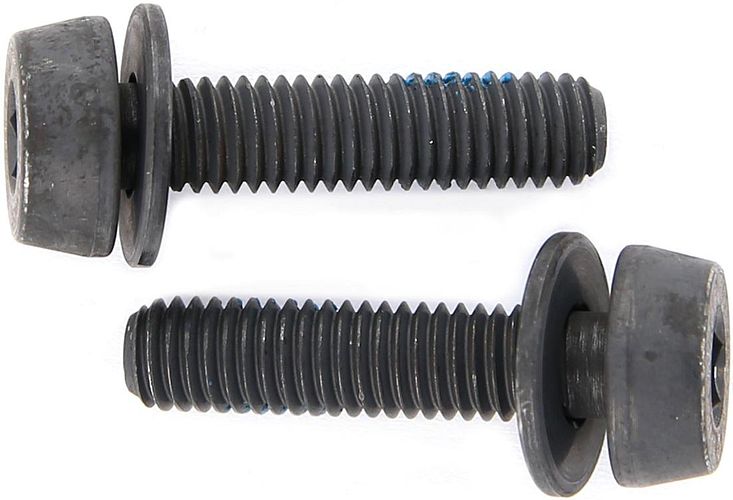 Campagnolo Befestigungsschraube 19 mm schwarz
