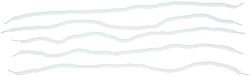 Hanseline Putzschnur Velo Floss