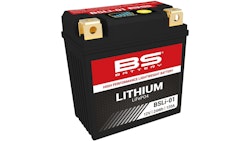 BS-Battery LiFePO4 Batterie wartungsfrei