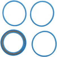 Fulcrum Dichtungssatz DRP Konuslager blau