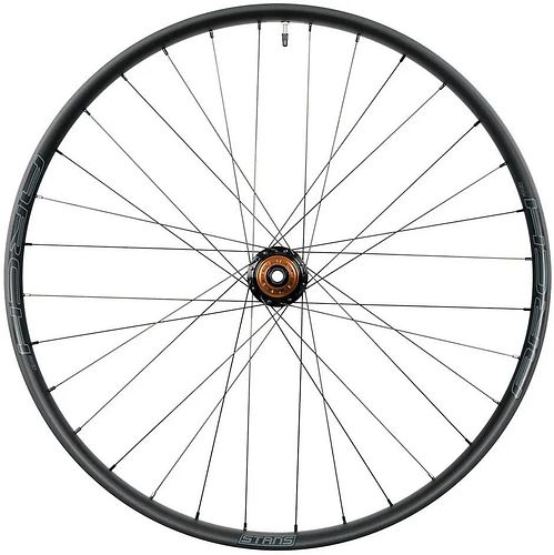 Stan's Laufrad ARCH MK4 29 Zoll Vorderrad 15x110 mm schwarz,grau