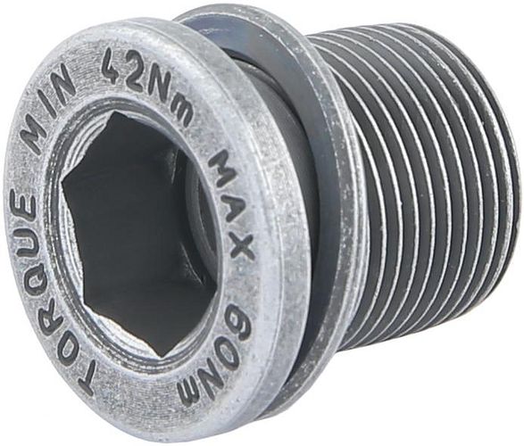 Campagnolo Kurbelschraube grau Ultra Torque grau