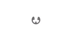 Dell'Orto Nadelclip