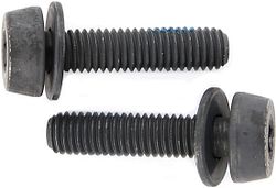 Campagnolo Befestigungsschraube 19 mm schwarz