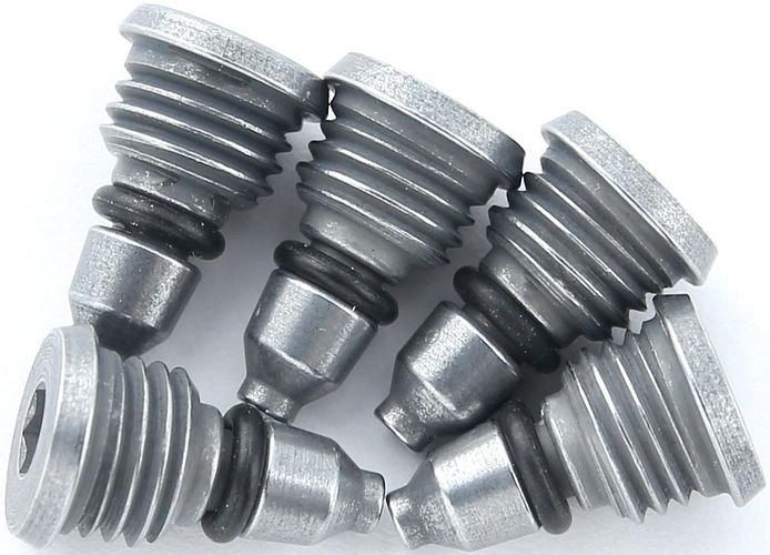 Campagnolo Entlüftungsschraube Ergopower silber