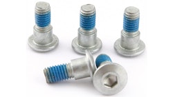 TRW Schraube 5 Stück, M8x1, 25, Schaftlänge 20, 75 mm, Gesamtlänge 23, 75 mm, Schraube Zylinderkopf