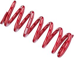 RockShox Feder 250 lb 134 mm rot