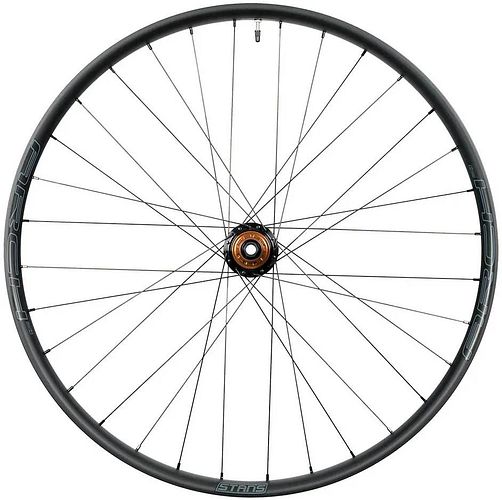 Stan's Laufrad ARCH MK4 29 Zoll schwarz CL Scheibenbremse