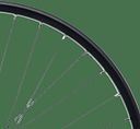 Vorschaubild CONTEC Hinterrad Taurus 21 Shimano FH-QC400 schwarz