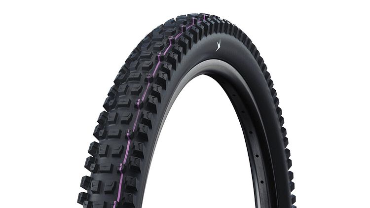 Schwalbe Albert Pro Evolution Line Reifen 29 Zoll schwarz 2,50" Trail, UltraSoft