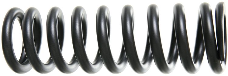 RockShox Feder 240 x 76 mm 400 lb schwarz