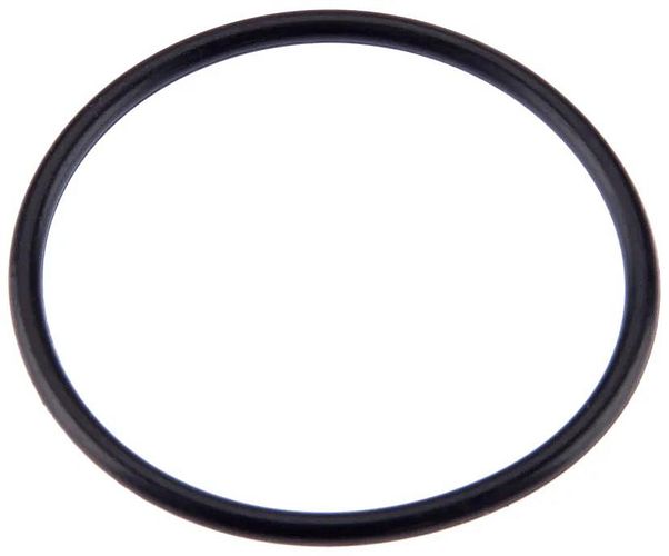 Bosch O-Ring schwarz