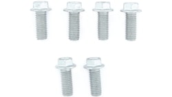 TRW Schraubensatz 6 Stück, M8x1, 25, Schaftlänge 20 mm, Gesamtlänge 26 mm, Schraubensatz Sechskant