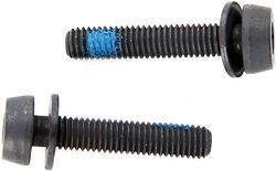Campagnolo Befestigungsschraube 24 mm schwarz