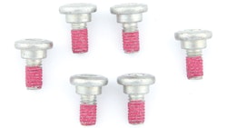 TRW Schraube 6 Stück, M6x1, 25, Schaftlänge 11 mm, Gesamtlänge 17, 1 mm, Schraube Zylinderkopf