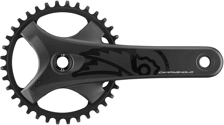 Campagnolo Kettenradgarnitur Ekar GT 13s 40 Zähne 170 mm schwarz