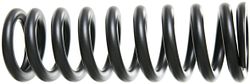 RockShox Feder 240 x 76 mm 400 lb schwarz
