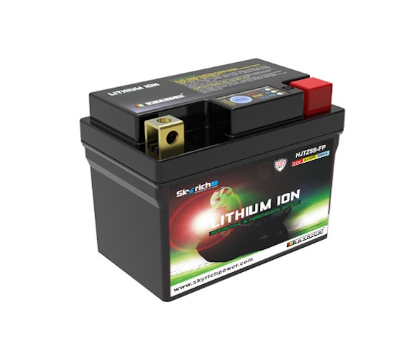 Skyrich LiFePO4 Batterie wartungsfrei