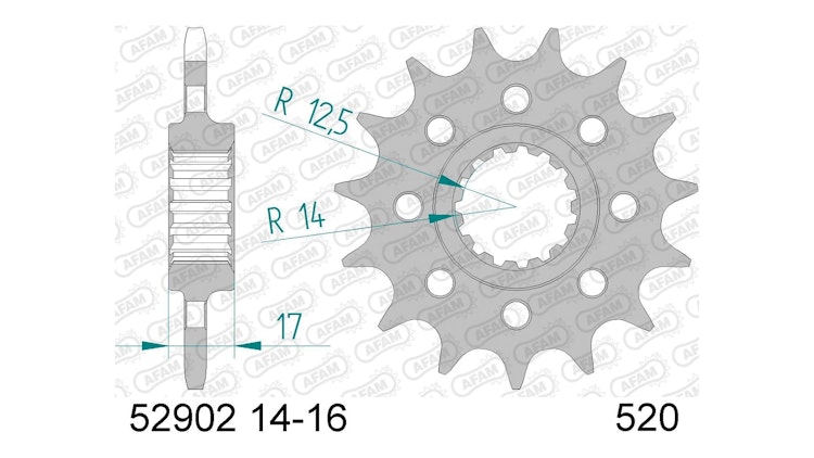 Afam Antriebsritzel 52902