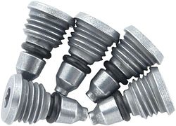 Campagnolo Entlüftungsschraube Ergopower silber