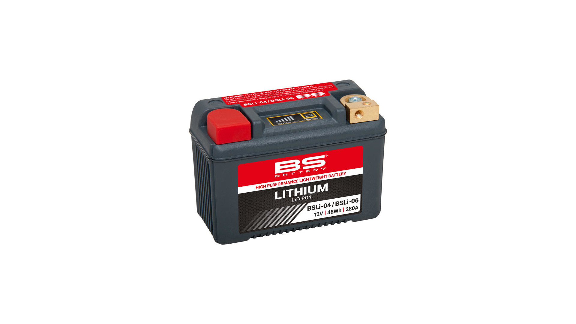 BS-Battery LiFePO4 Batterie wartungsfrei