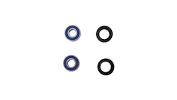 All Balls Racing Radlagersatz 25-1009