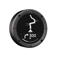 BEELINE Navigationsgerät Moto II