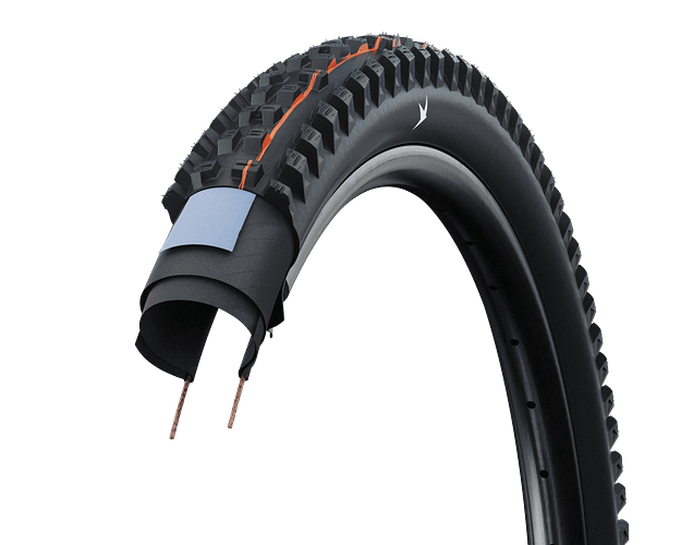 Schwalbe Tacky Chan Reifen 29 Zoll schwarz 2,40" Race PRO, Soft