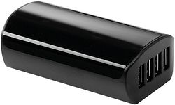 Campagnolo Ladegerät WRL 12s schwarz