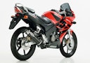 Vorschaubild SHARK AUSPUFF Carbon  Street für HONDA CBR125R EURO3  