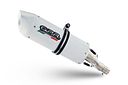 Vorschaubild GPR Komplettauspuffanlage BMW G 310 Gs 2022/2024 e5 ALBUS EVO4 FS