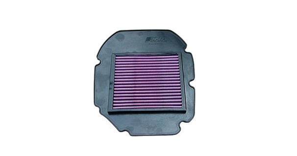 DNA Tauschluftfilter [P-H10E98-01]