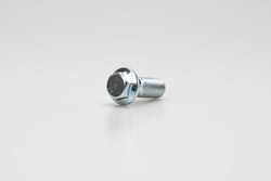 Daytona Hohlschraube M10x20mm