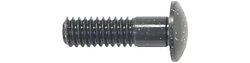 Campagnolo Nippeleinsatz Bullet/Bullet Ultra schwarz
