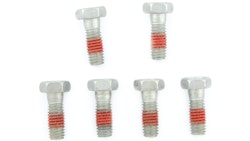 TRW Schraubensatz 6 Stück, M6x1, Schaftlänge 17 mm, Gesamtlänge 21 mm, Schraubensatz Innensechskant