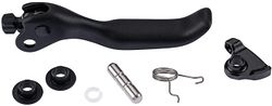 SRAM Hebel Code Stealth bronze