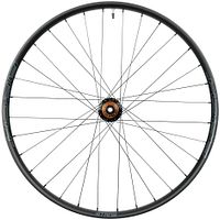 Stan's Laufrad ARCH MK4 29 Zoll Vorderrad 15x110 mm schwarz,grau