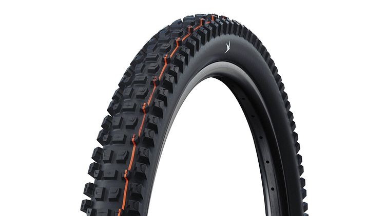 Schwalbe Albert Pro Evolution Line 29 Zoll schwarz