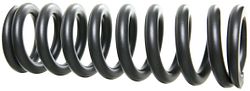 RockShox Feder 240 x 76 mm 450 lb schwarz